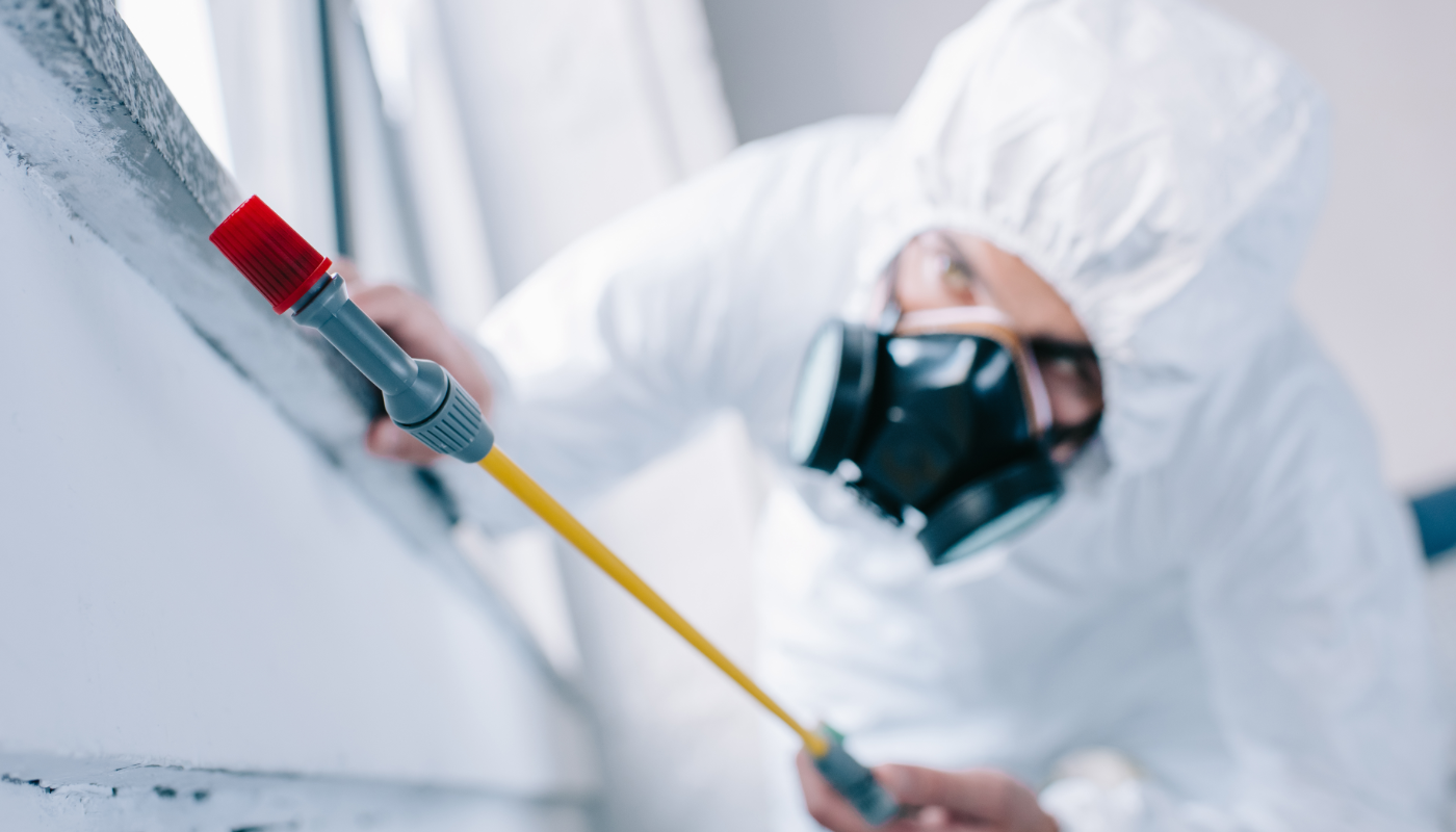 Complete Guide to The Basics of Pest Control - Reflection Business