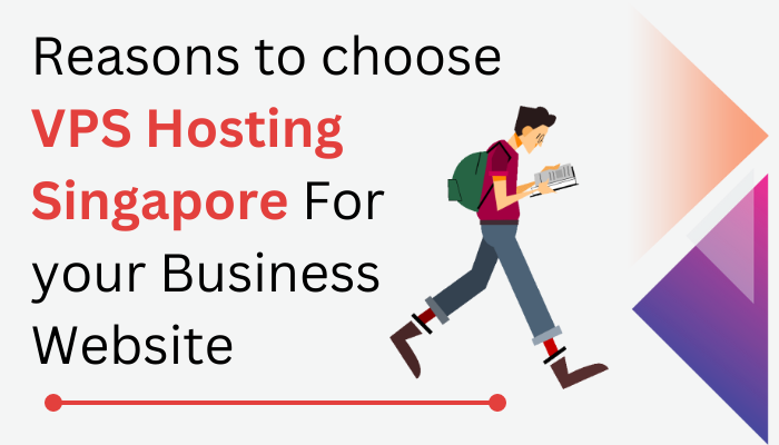 Reasons to choose VPS Hosting Singapore For your Business Website