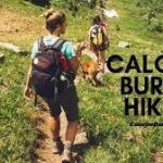calories burned hiking