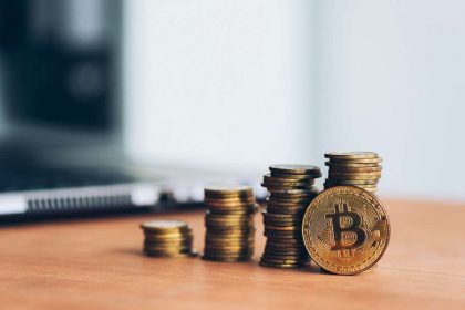 Analyzing the Disadvantages of Cryptocurrency