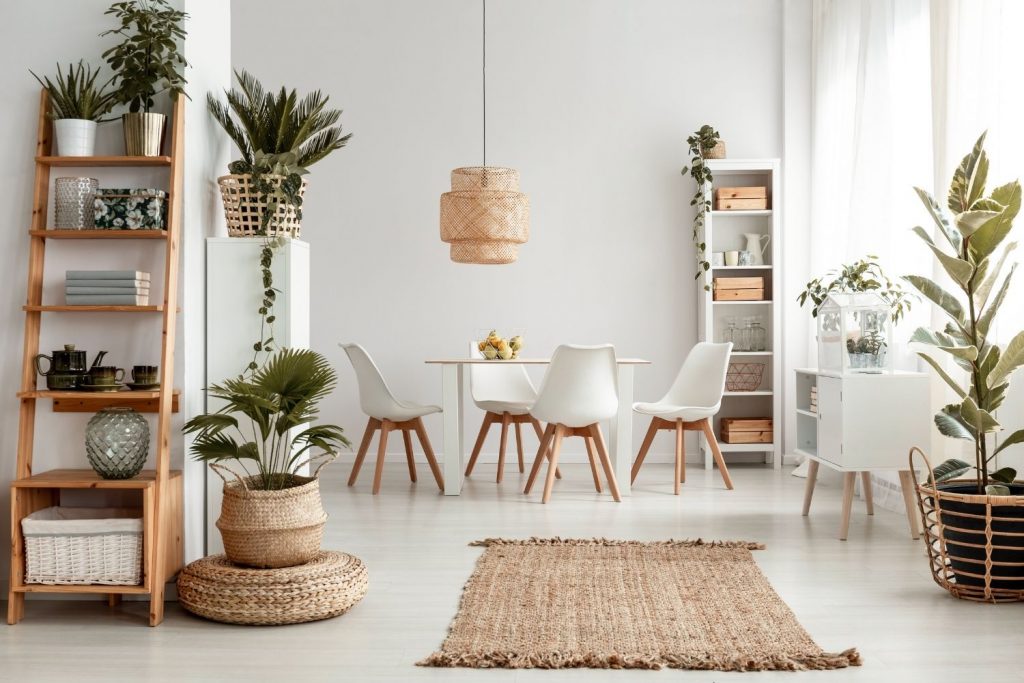 Home decor With Plants 