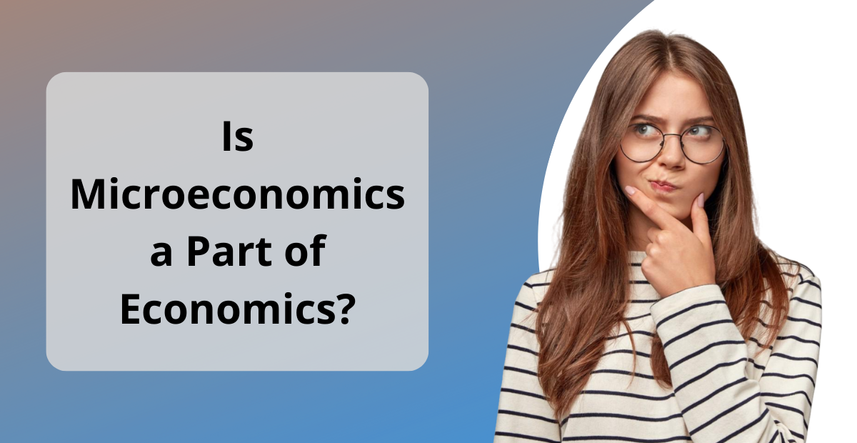 Microeconomics Assignment Help